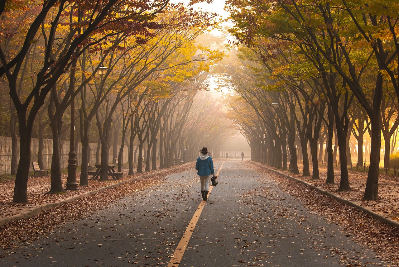 road, pavement, woman-5767221.jpg